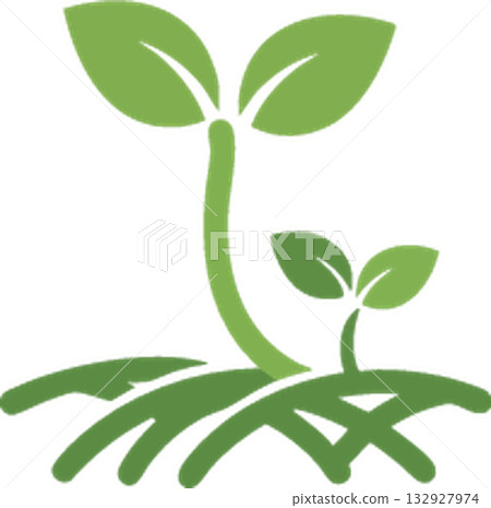 young sprout of green leaves 132927974