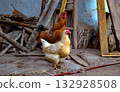 Farm chickens in rustic yard 132928508