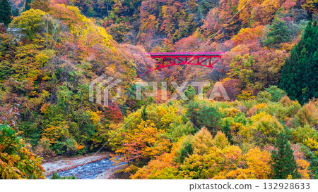 松川溪谷(秋季) 高山村 松川溪谷(秋季) 高山村 132928633
