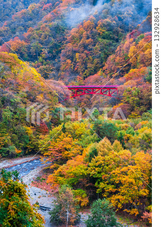 松川溪谷（秋季） 高山村 132928634