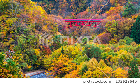 松川溪谷（秋季） 高山村 132928649