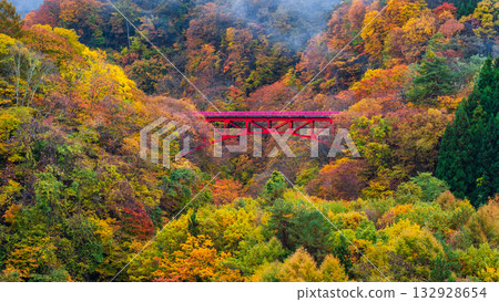 松川溪谷（秋季） 高山村 132928654
