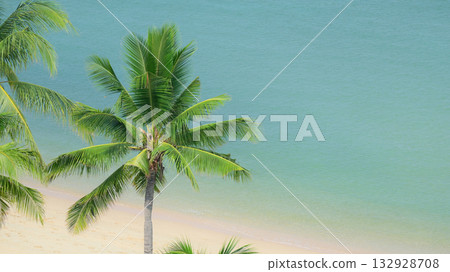 beautiful beach with palm tree and white sand in summertime beautiful beach with palm tree and white sand in summertime 132928708