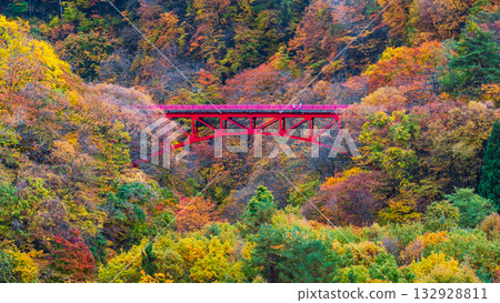 Matsukawa Valley (Autumn) Takayama Village 132928811