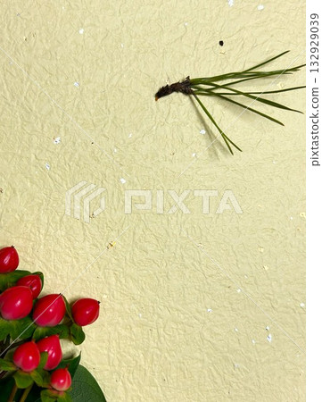 Hypericum berries and pine needles Hypericum berries and pine needles 132929039