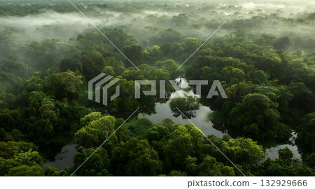 Misty Amazon Rainforest Canopy with Winding River and Lush Green Trees 132929666