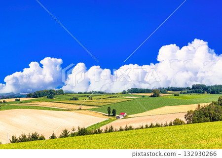 Spectacular rural scenery spreading across the hills of Biei Town 132930266