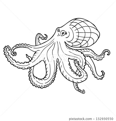 Octopus. Vector black engraving vintage illustrations. Vector illustration of octopus isolated on white background 132930550