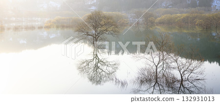 白河湖的沈水森林 春天的景色 132931013