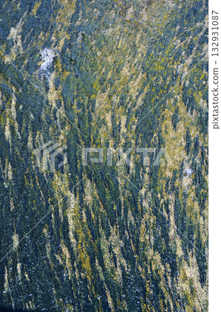 A close-up of the turquoise-beige wall of the dam, blurred by a thin layer of water flowing down it A close-up of the turquoise-beige wall of the dam, blurred by a thin layer of water flowing down it 132931087