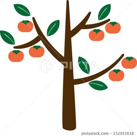 簡單的柿子樹 | 讓你感受到豐收季節的插畫素材 132931638