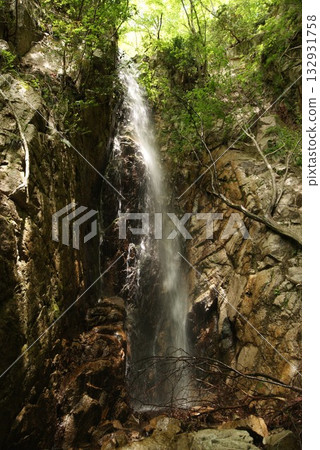 A clear waterfall flowing down mossy rocks in the forest 132931758