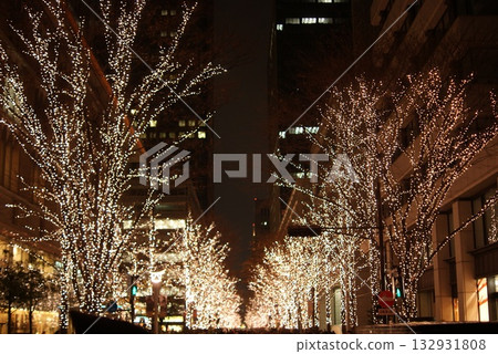 Illuminated street trees and urban winter scenery at night 132931808