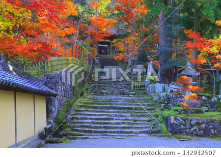 Autumn at Saimyoji Temple (approach to the temple, Kora Town, Shiga Prefecture) 132932507