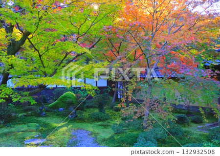 Autumn at Saimyoji Temple (garden, Kora Town, Shiga Prefecture) 132932508