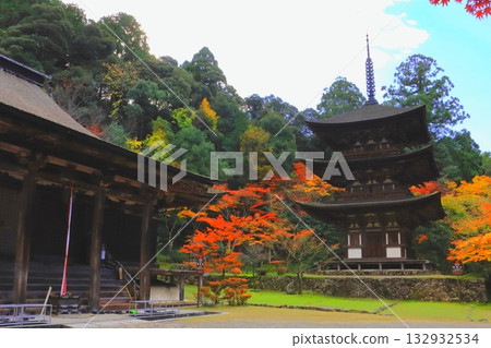 Autumn at Saimyoji Temple (National Treasure Three-story Pagoda, National Treasure Main Hall, Kora Town, Shiga Prefecture) 132932534