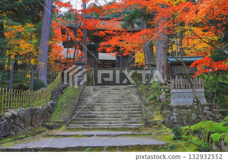 Autumn at Saimyoji Temple (approach to the temple, Kora Town, Shiga Prefecture) 132932552