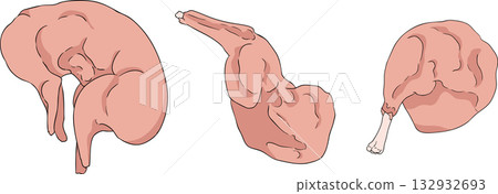 Colorful vector illustrations of various raw meat cuts, with detailed textures Colorful vector illustrations of various raw meat cuts, with detailed textures 132932693