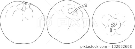 Line apples, perfect for educational or botanical designs, coloring pages.  132932698