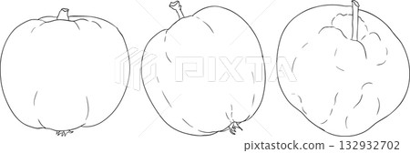 Line apples, perfect for educational or botanical designs, coloring pages.  132932702