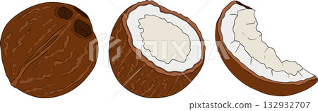 Vector colored illustrations of coconuts. Perfect for tropical for food themed designs. Vector colored illustrations of coconuts. Perfect for tropical for food themed designs. 132932707
