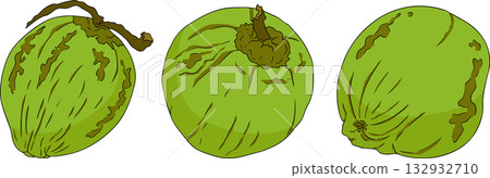 Vector colored illustrations of coconuts. Perfect for tropical for food themed designs. Vector colored illustrations of coconuts. Perfect for tropical for food themed designs. 132932710