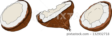 Vector colored illustrations of coconuts. Perfect for tropical for food themed designs. Vector colored illustrations of coconuts. Perfect for tropical for food themed designs. 132932718