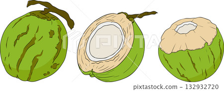 Vector colored illustrations of coconuts. Perfect for tropical for food themed designs. Vector colored illustrations of coconuts. Perfect for tropical for food themed designs. 132932720