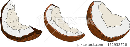 Vector colored illustrations of coconuts. Perfect for tropical for food themed designs. Vector colored illustrations of coconuts. Perfect for tropical for food themed designs. 132932726
