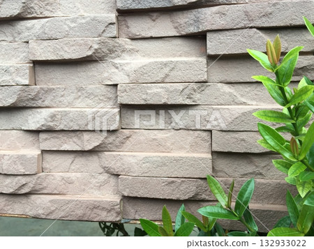 brick wall with green plant brick wall with green plant 132933022