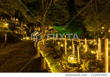 發光的竹子 132933403