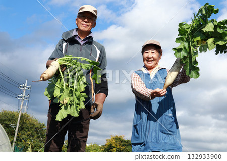 菜園裡的老年夫婦 菜園裡的老年夫婦 132933900