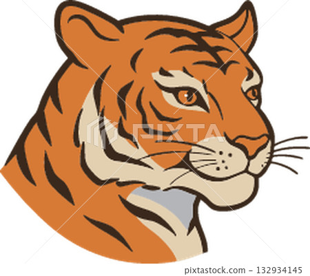 tiger icon vector isolated on white background 132934145