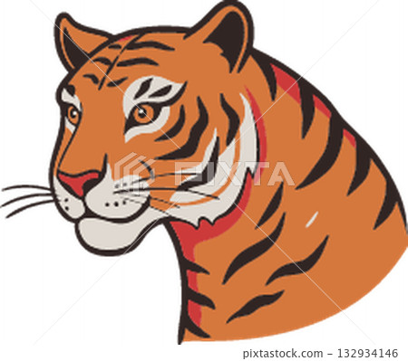 tiger icon vector isolated on white background 132934146