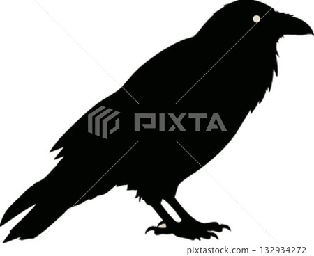 black crow icon on white background 132934272