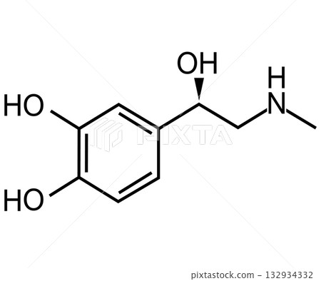 chemical structure of adrenaline or epinephrine. skeletal formula illustration of epinephrine (adrenaline) symbol. flat style. chemical structure of adrenaline or epinephrine. skeletal formula illustration of epinephrine (adrenaline) symbol. flat style. 132934332