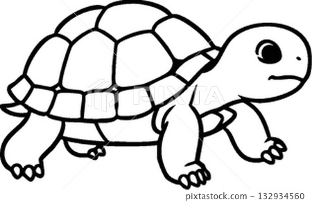 vector set of turtle vector set of turtle 132934560