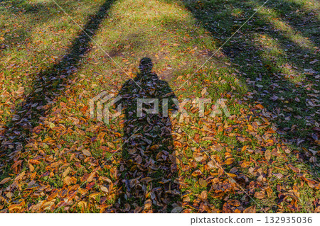 Shadow of a person on fallen leaves in an autumn park setting Shadow of a person on fallen leaves in an autumn park setting 132935036