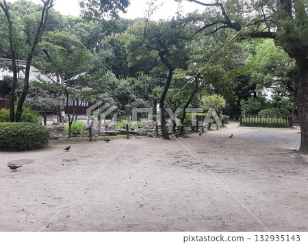 寺廟庭院和鴿子的景色 132935143