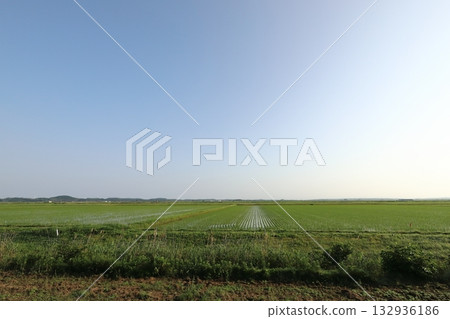Akita Ogata Hachirogata's huge rice paddies Akita Ogata Hachirogata's huge rice paddies 132936186