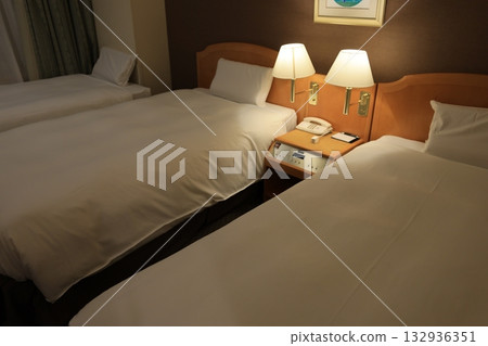 Hotel Hotel 132936351