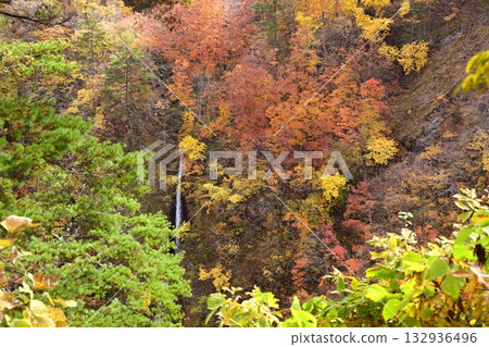 紬倉瀑布和秋葉 132936496