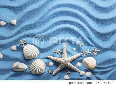 Aerial view of blue sand texture with shells and starfish 132937198