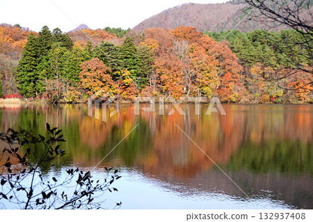 Kannon Pond and autumn leaves Kannon Pond and autumn leaves 132937408