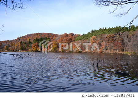Kannon Pond and autumn leaves 132937431