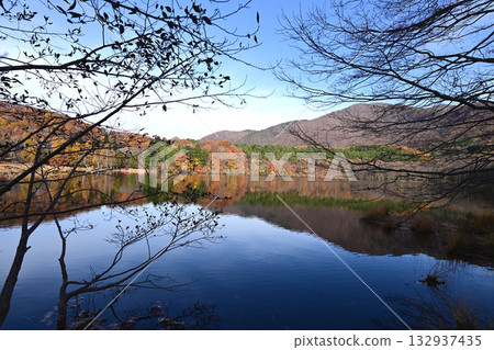 Kannon Pond and autumn leaves Kannon Pond and autumn leaves 132937435