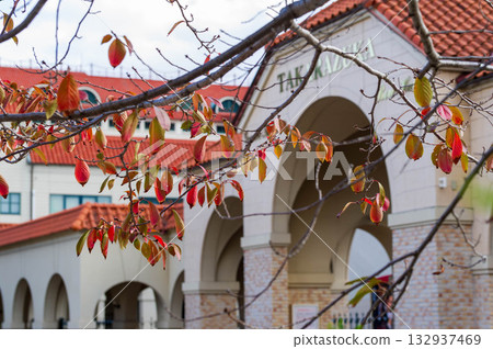 Flower Michi 132937469