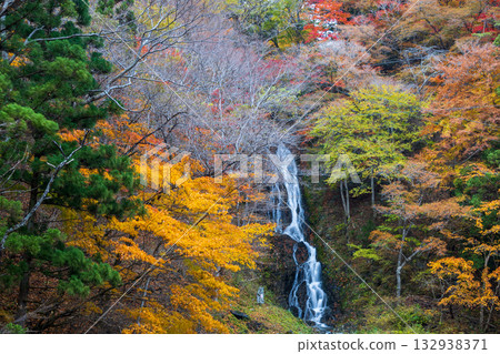 Autumn leaves and Shiraito Falls in Rikuzentakata Autumn leaves and Shiraito Falls in Rikuzentakata 132938371
