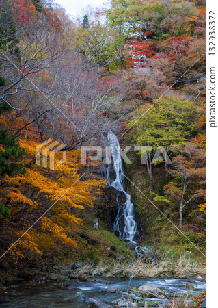 Autumn leaves and Shiraito Falls in Rikuzentakata 132938372