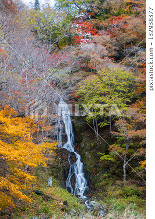Autumn leaves and Shiraito Falls in Rikuzentakata 132938377